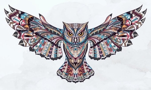 Zentangle Mandala Owl